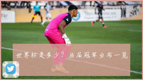 世界杯是多少？历届冠军分布一览