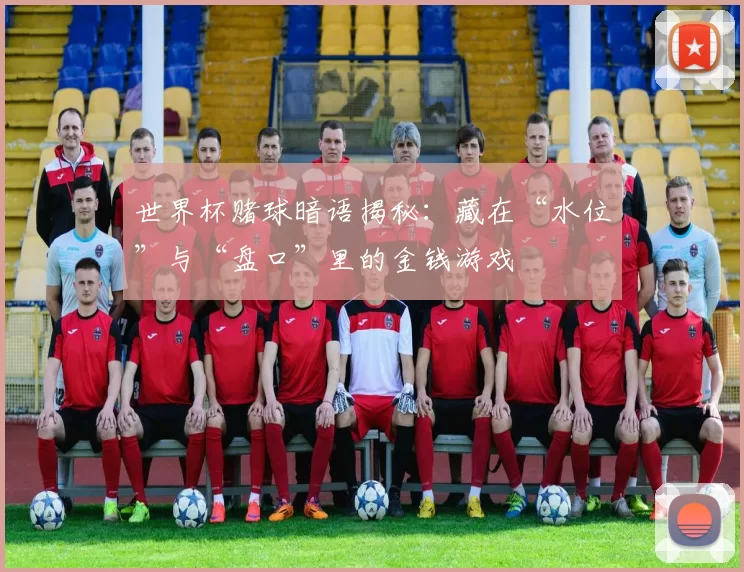 世界杯赌球暗语揭秘：藏在“水位”与“盘口”里的金钱游戏