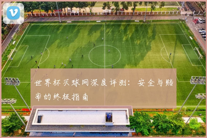 世界杯买球网深度评测：安全与赔率的终极指南