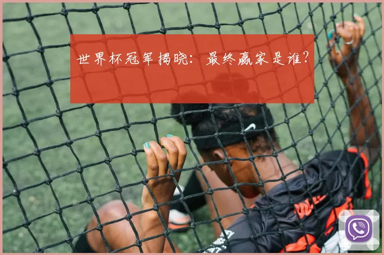 世界杯冠军揭晓：最终赢家是谁？