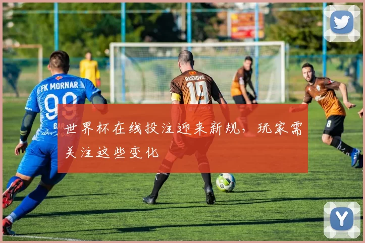 世界杯在线投注迎来新规，玩家需关注这些变化