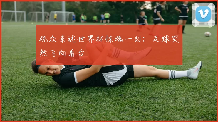 观众亲述世界杯惊魂一刻：足球突然飞向看台