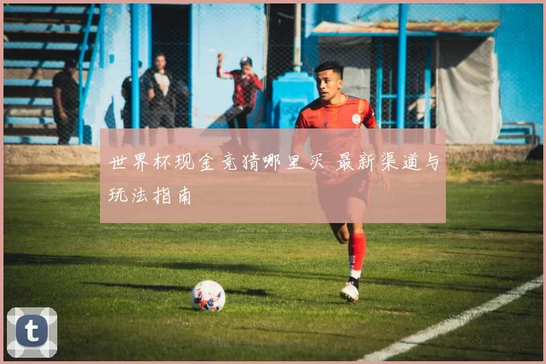 世界杯现金竞猜哪里买 最新渠道与玩法指南