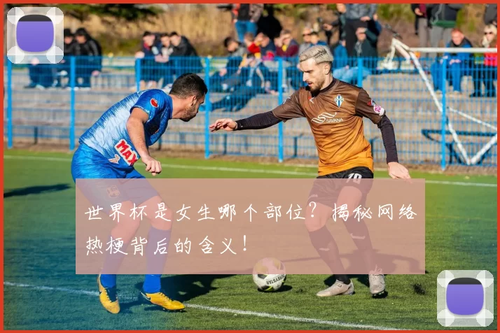 世界杯是女生哪个部位?揭秘网络热梗背后的含义!