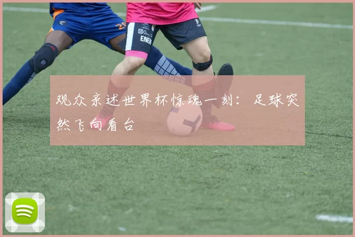 观众亲述世界杯惊魂一刻：足球突然飞向看台
