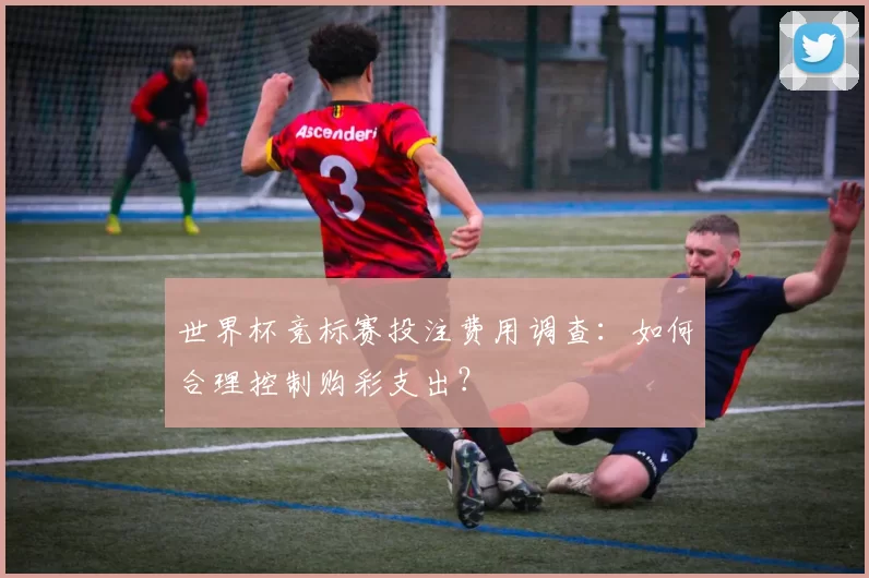 世界杯竞标赛投注费用调查:如何合理控制购彩支出?