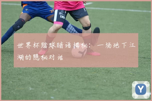 世界杯赌球暗语揭秘:一场地下江湖的隐秘对话