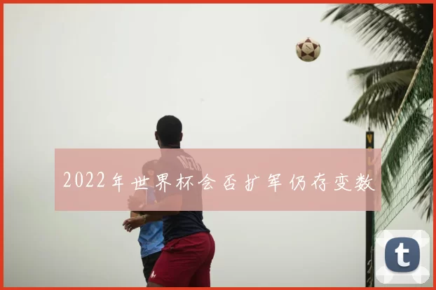 2022年世界杯会否扩军仍存变数