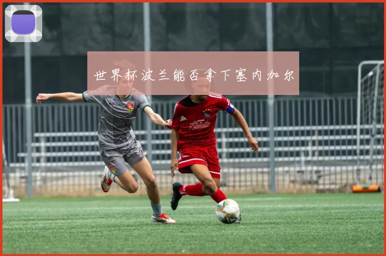 世界杯波兰能否拿下塞内加尔
