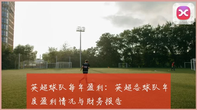 英超球队每年盈利：英超各球队年度盈利情况与财务报告